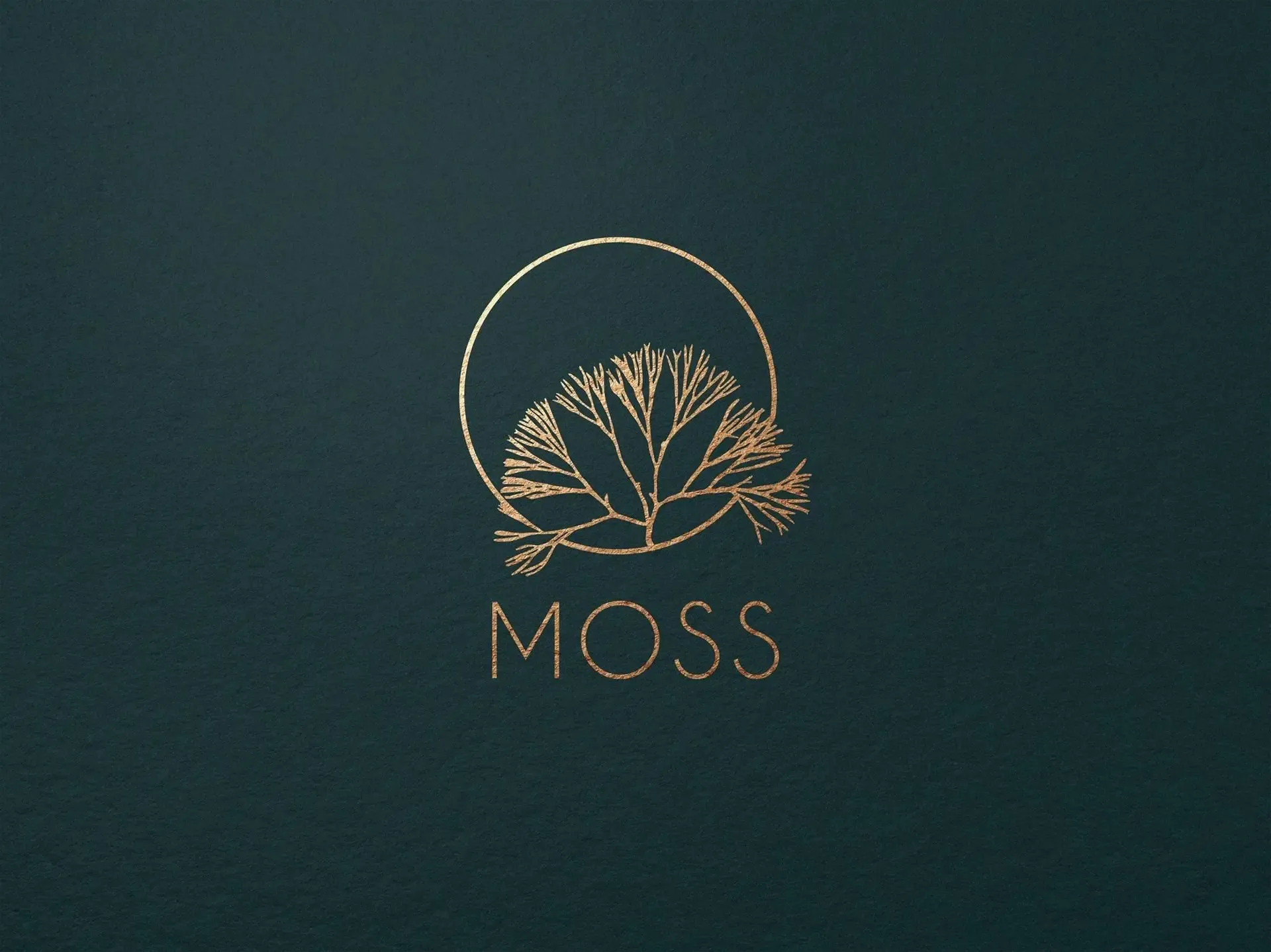 Chain logo