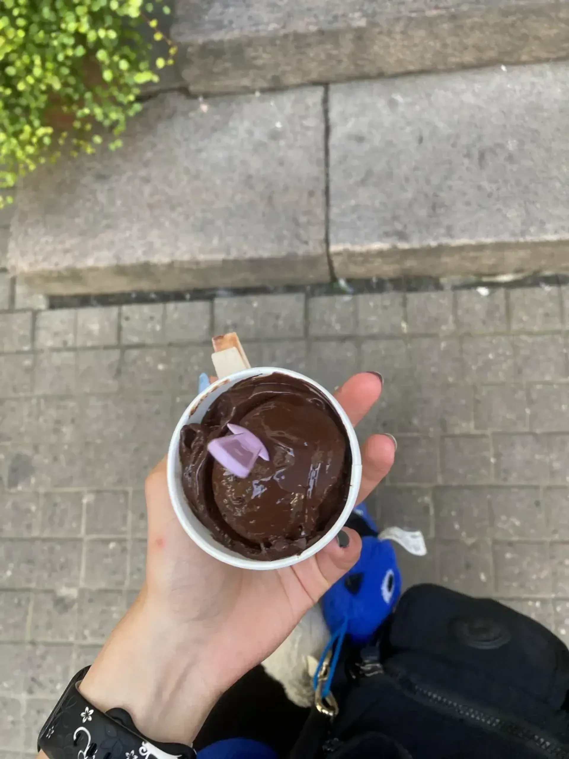 Dar vis galvoju apie tave...
Gelato super kremiški, labai ryškaus, sodraus, TIKR