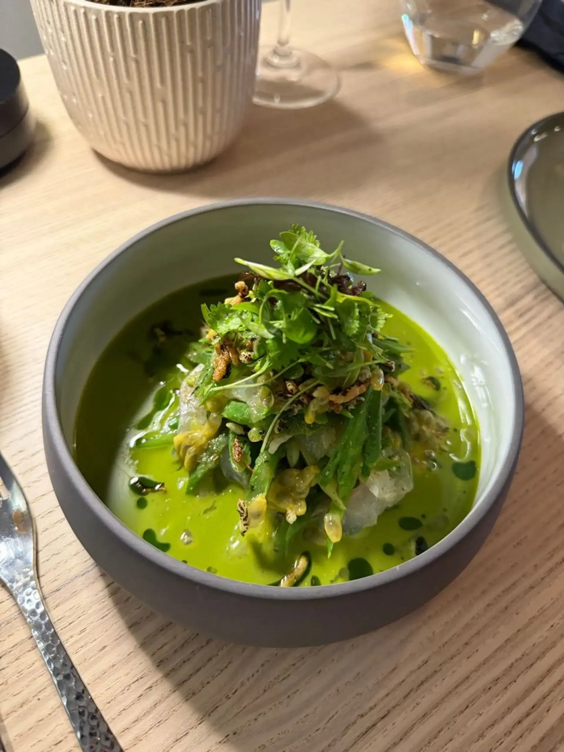 Labai geras patiekalas! Dorados seviche žaliojo kario padaže su yuzu ir pasiflor