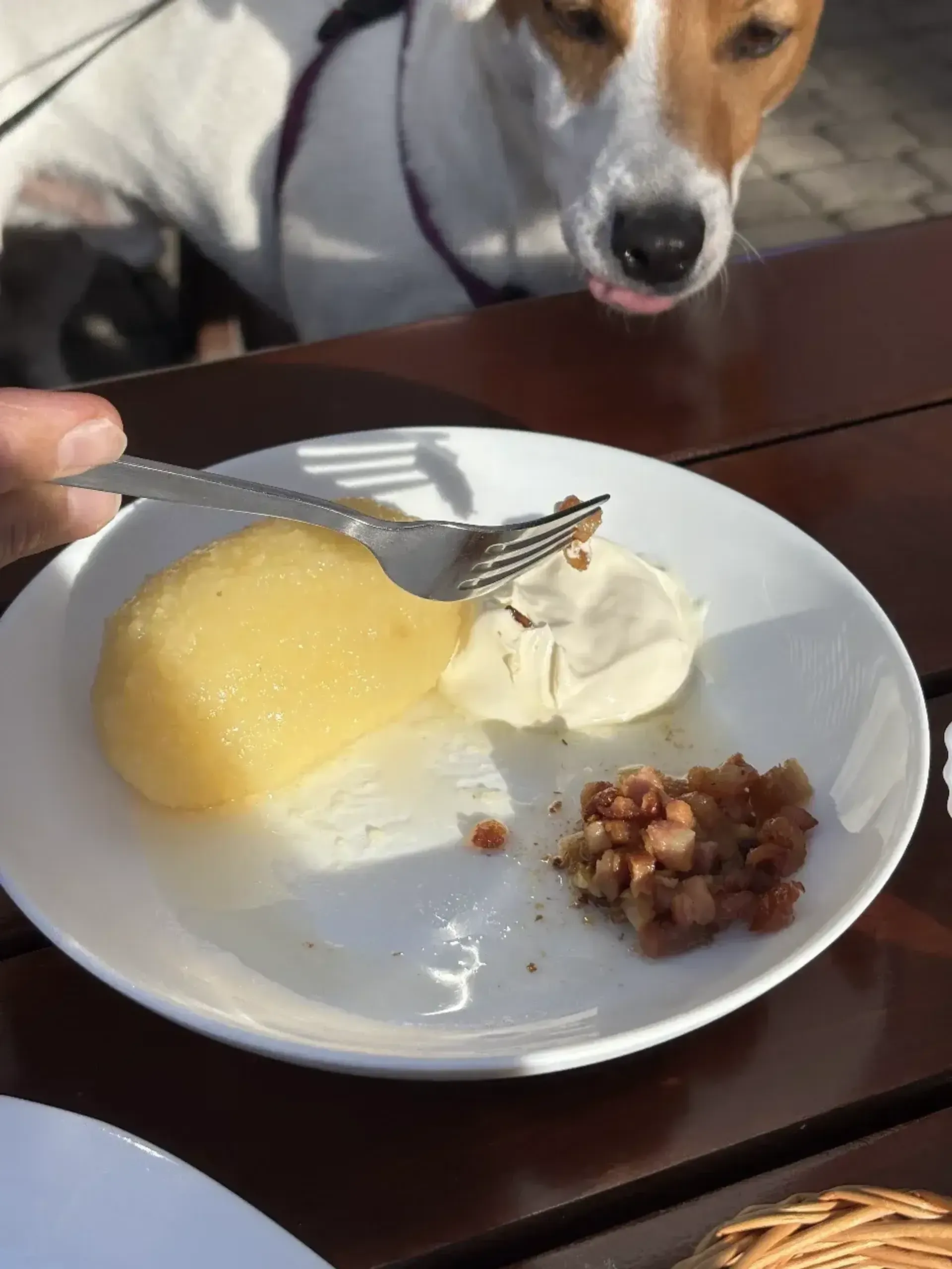 Gardutis, skanutis pumpurėlis, gaila, kad buvo belikęs vienutėlis