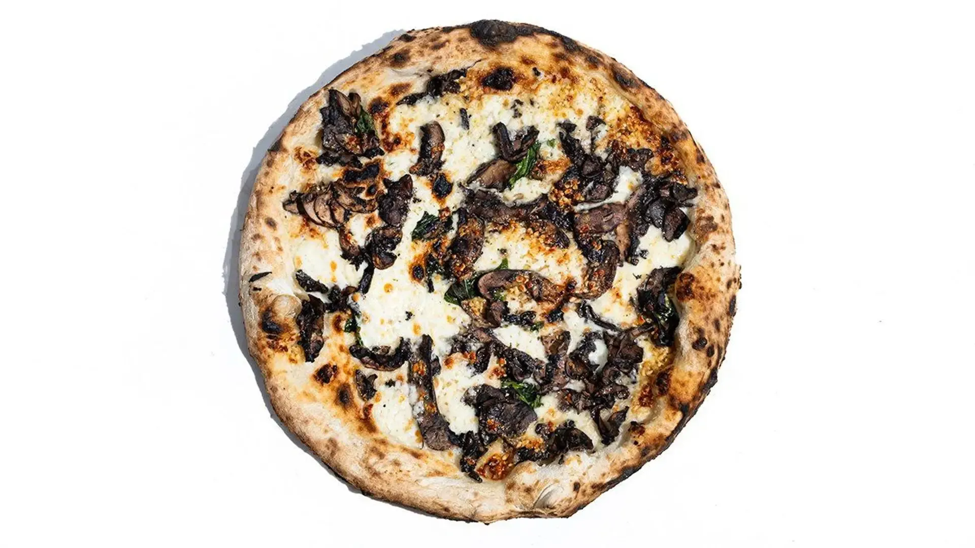 Funghi e tartufo